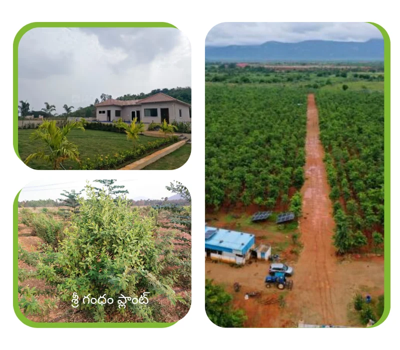 open-plots-vizag-farmland-ventures